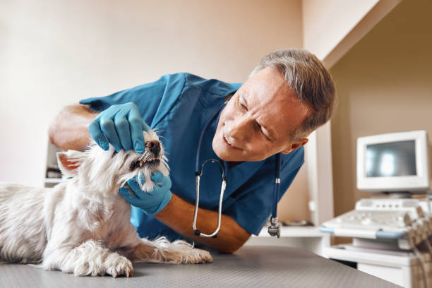 Best Weekend Emergency Dentist in Richland, WA